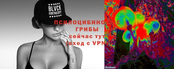 герыч Верхний Тагил