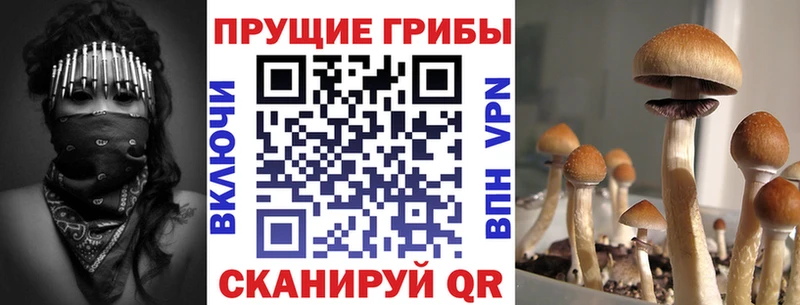 Галлюциногенные грибы MAGIC MUSHROOMS Зея